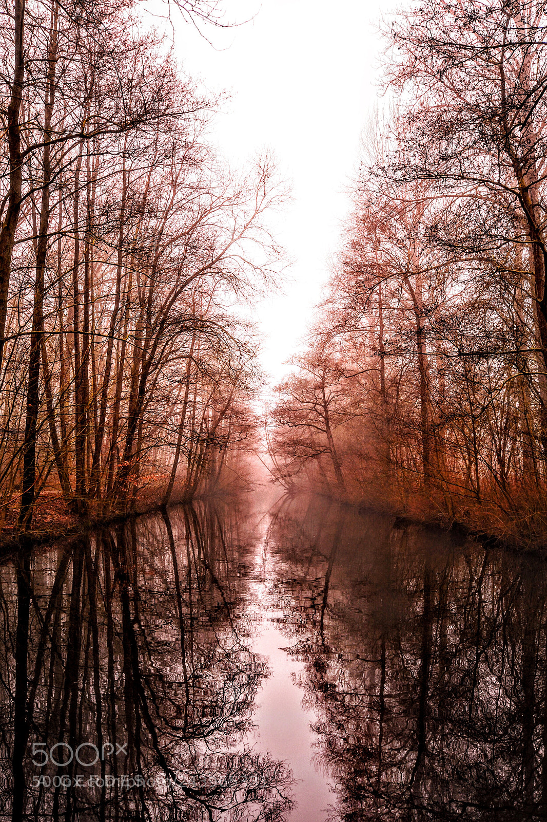 Nikon D7500 sample photo. Alone in the park photography