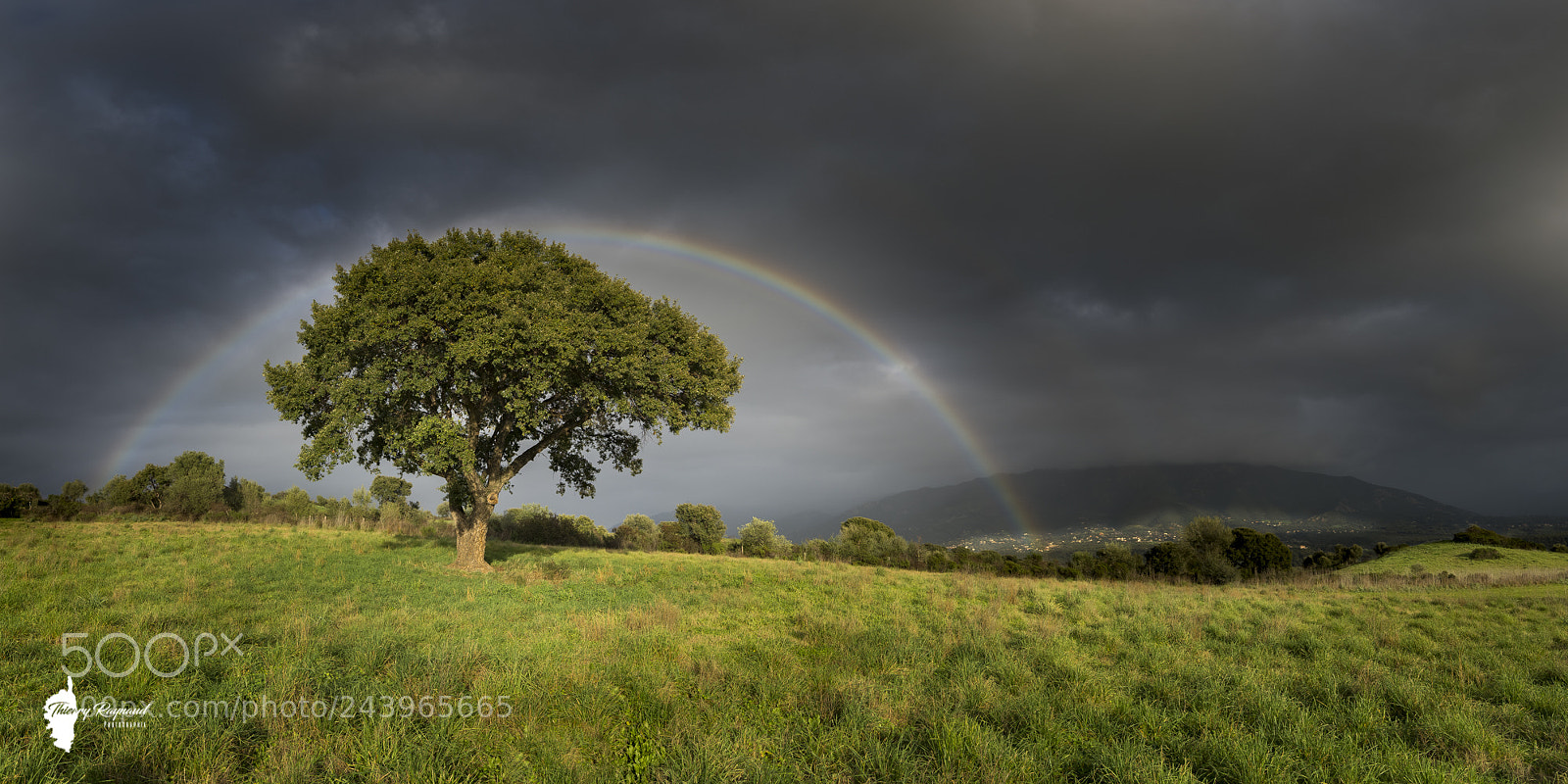 Nikon D600 sample photo. Rainbow photography