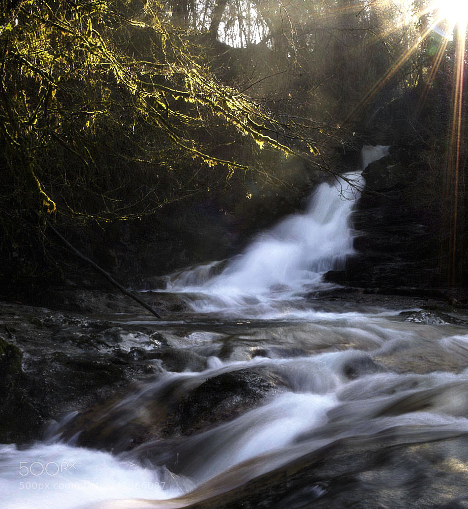Sony ILCA-77M2 sample photo. Torrent in the sunlight photography