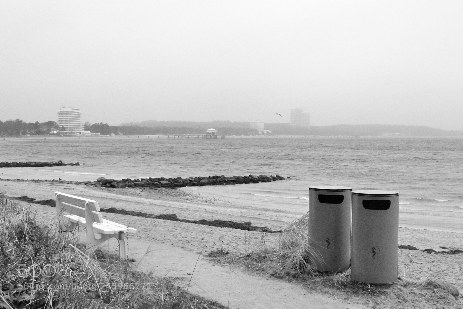 Nikon D3100 sample photo. Dustbins photography