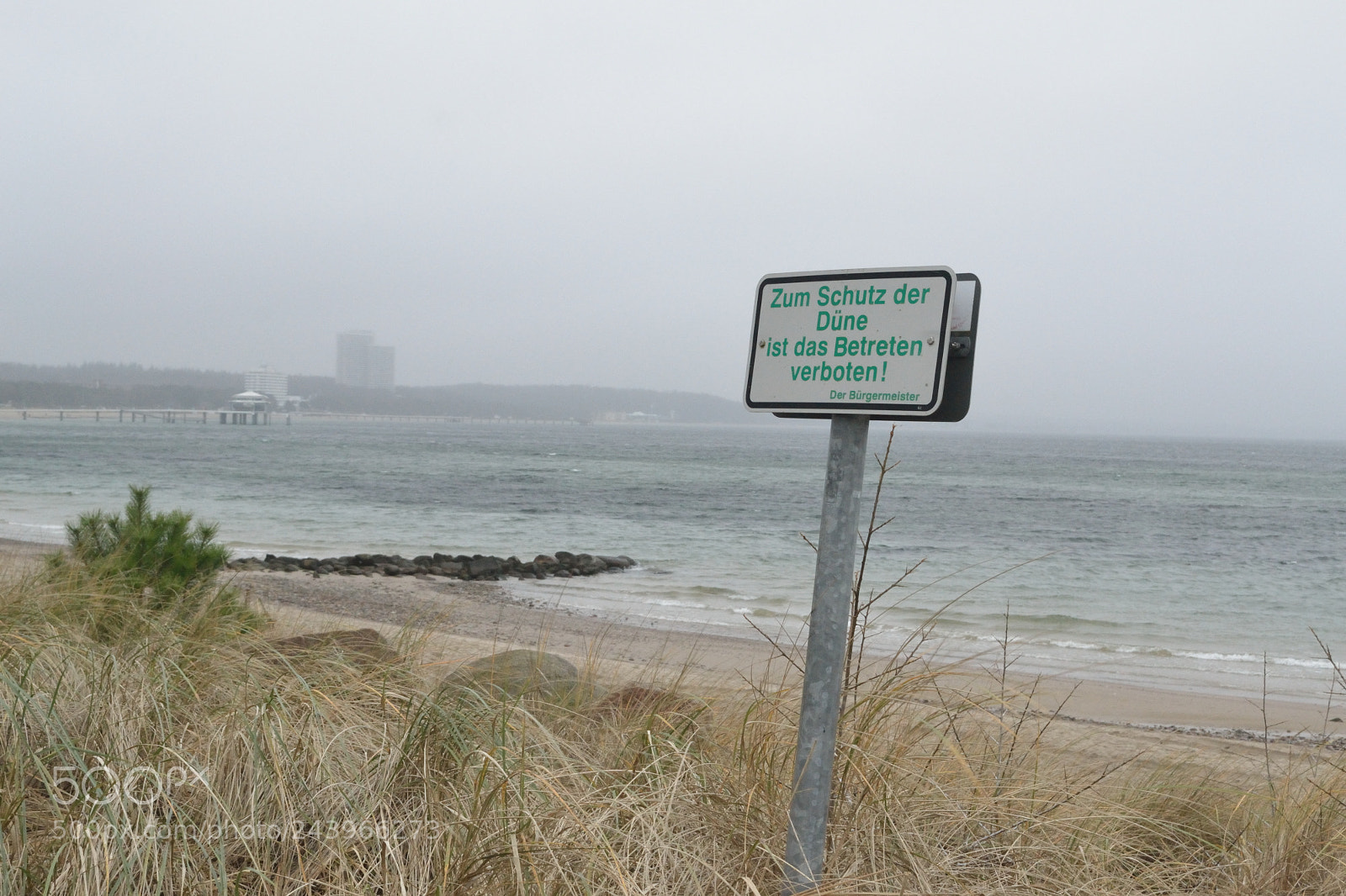 Nikon D3100 sample photo. Protecting the dunes photography