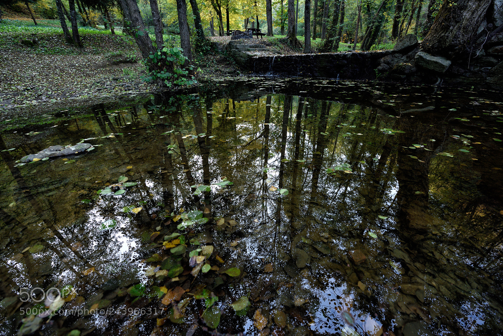 Nikon D810 sample photo. Lovely nature iv photography