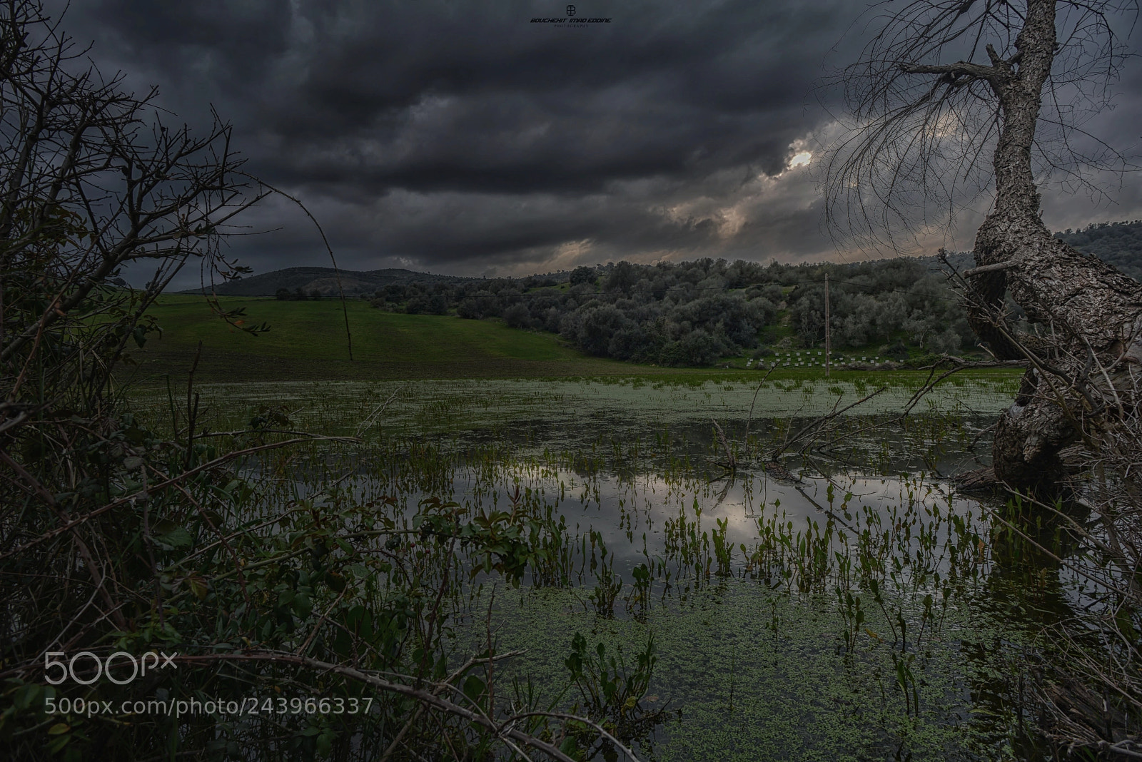 Nikon D800 sample photo. El hadaike photography