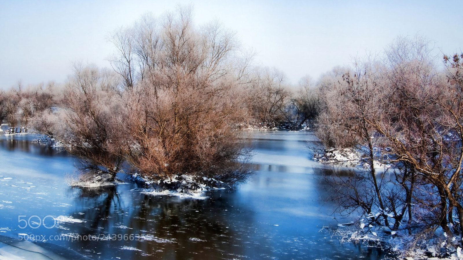 Canon EOS 50D sample photo. Untitled photography