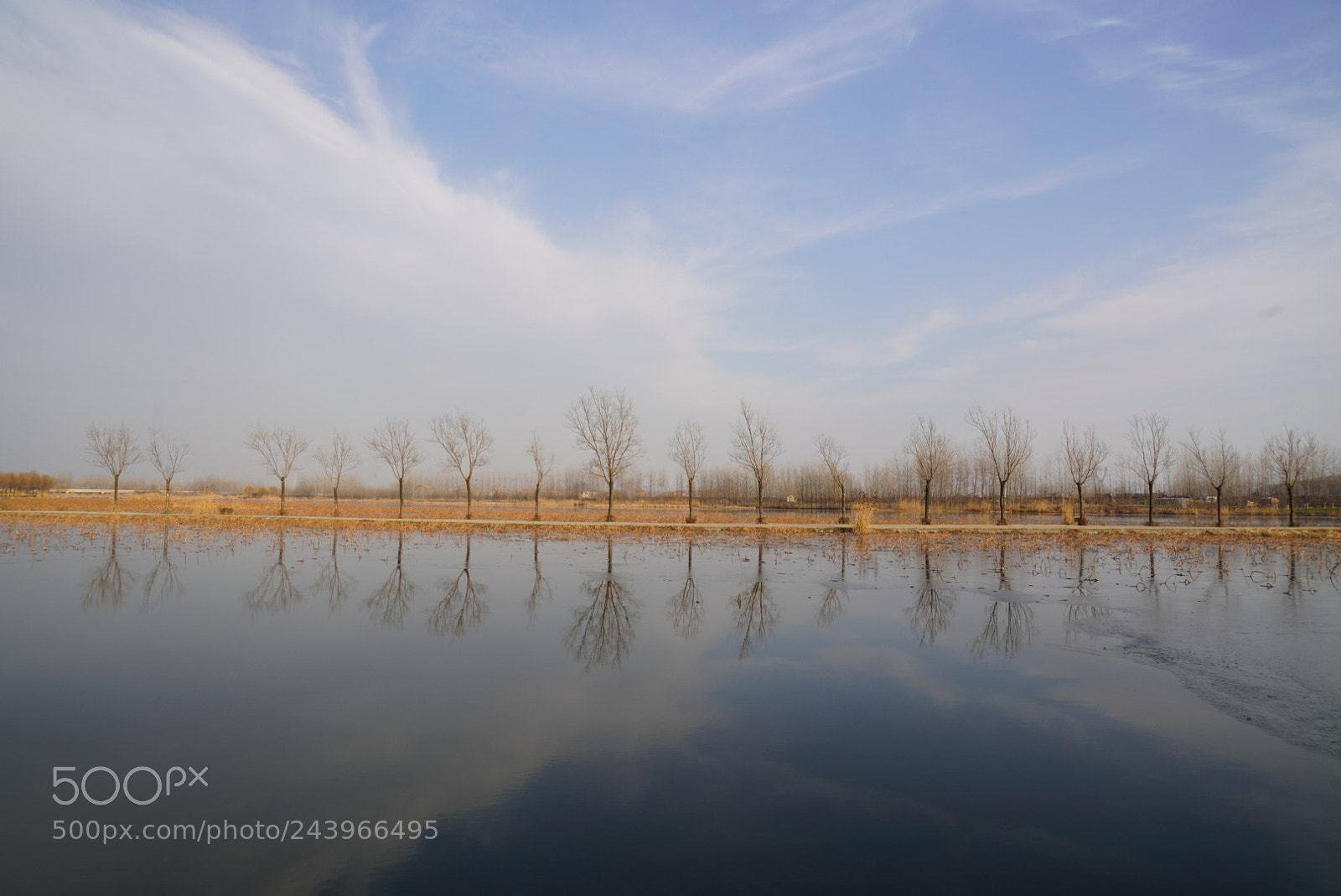 Sony a7R III sample photo. 湿地 photography