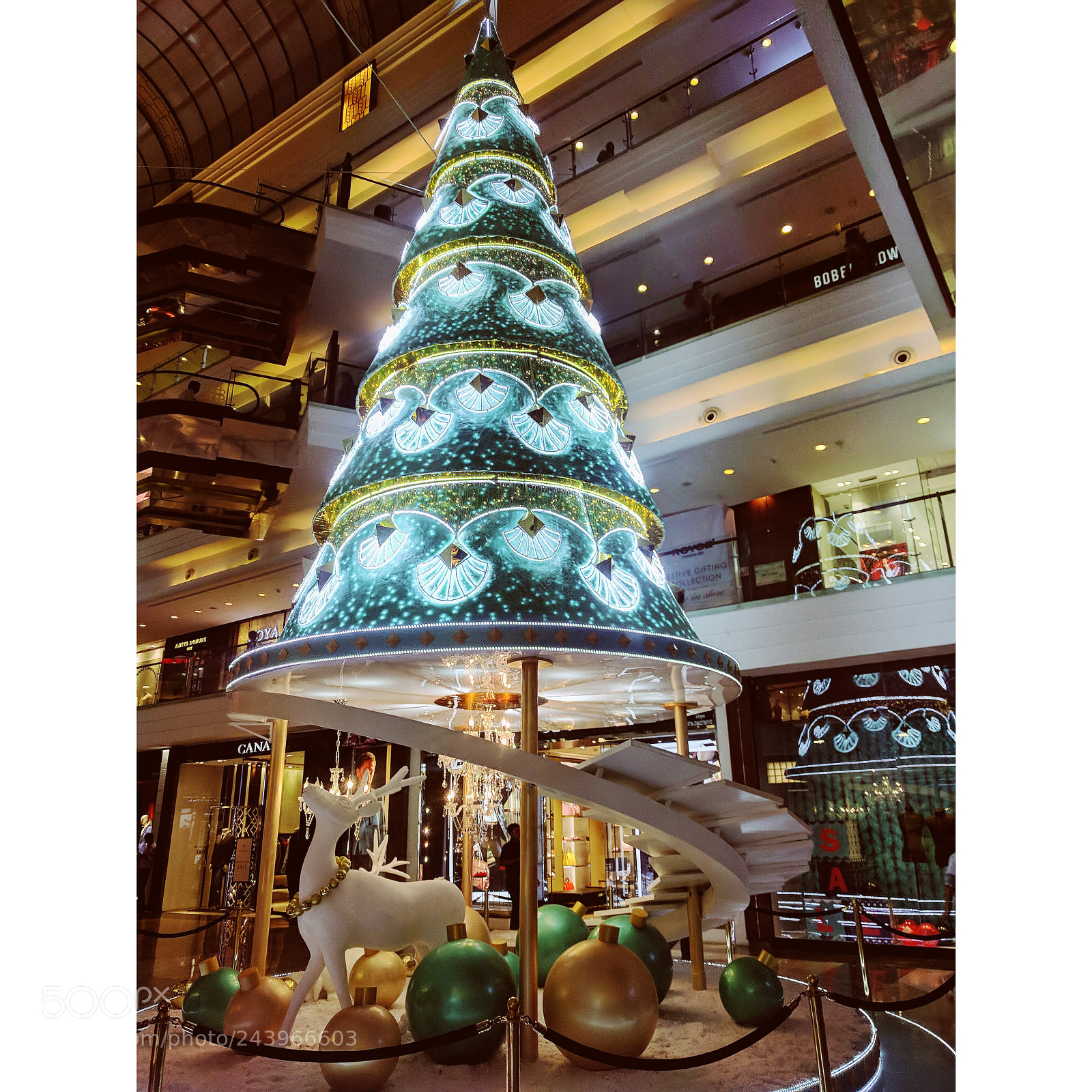 Google Nexus 6P sample photo. Christmas photography