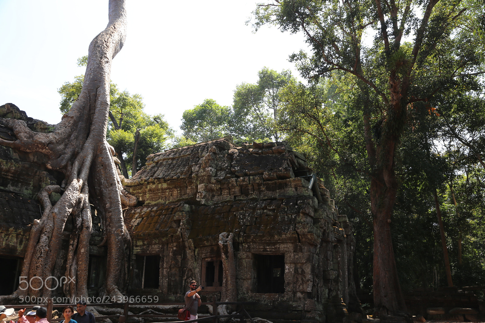 Canon EOS 6D + Canon EF 24-105mm F4L IS USM sample photo. Untitled photography