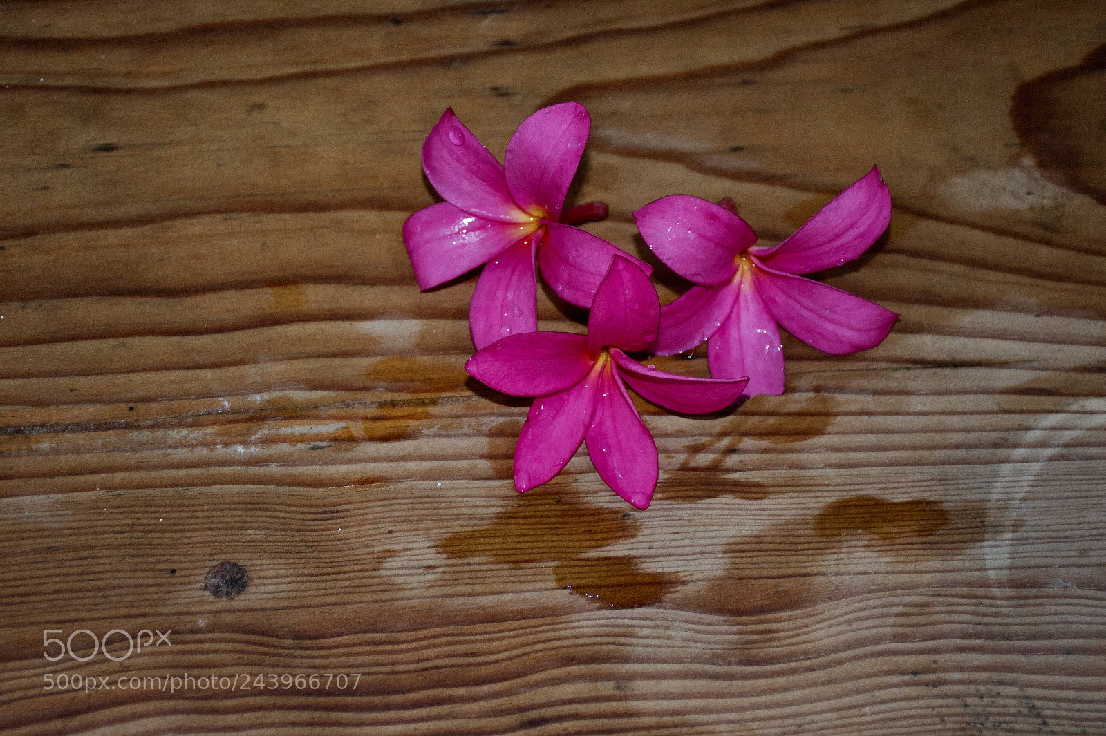 Nikon D7100 sample photo. Guiechachi!! photography