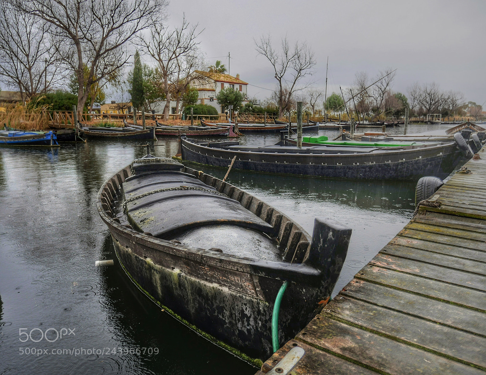 Panasonic Lumix DMC-GX85 (Lumix DMC-GX80 / Lumix DMC-GX7 Mark II) sample photo. Under the rain photography