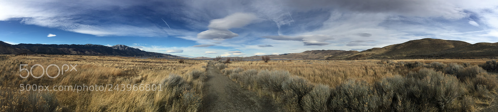 Apple iPhone 6 Plus sample photo. Washoe lake state park photography