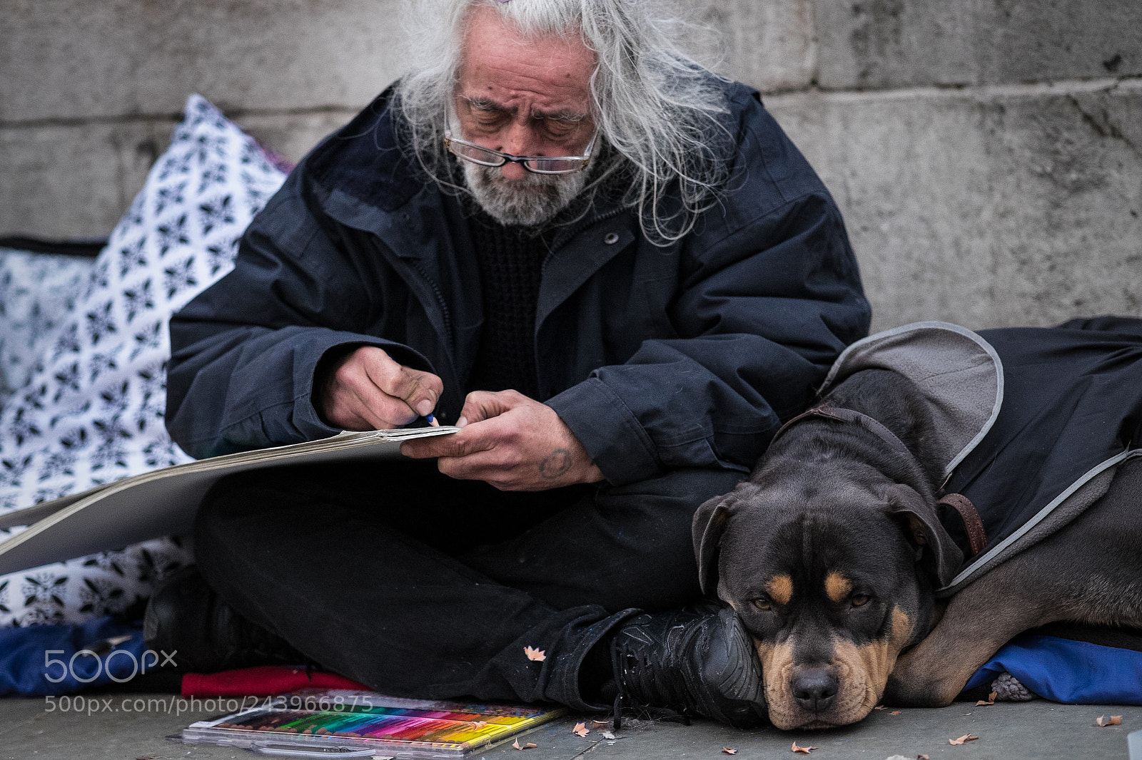 Fujifilm X-T1 sample photo. Challenge animals...patient friend photography