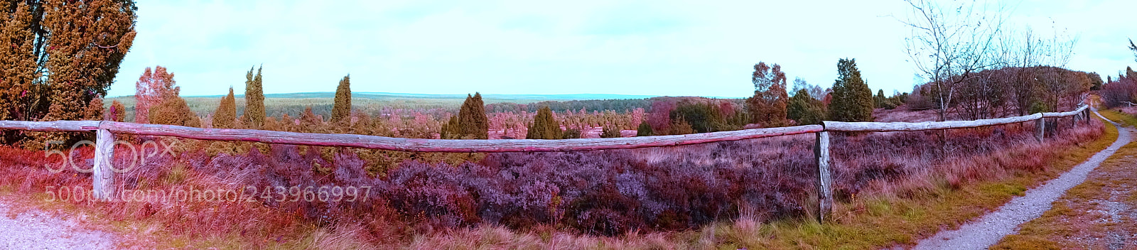 Sony Cyber-shot DSC-HX400V sample photo. Heide photography