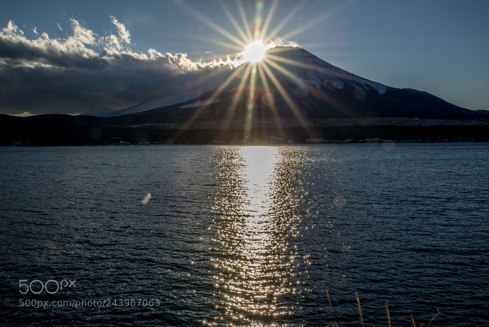 Nikon D610 sample photo. Fu photography