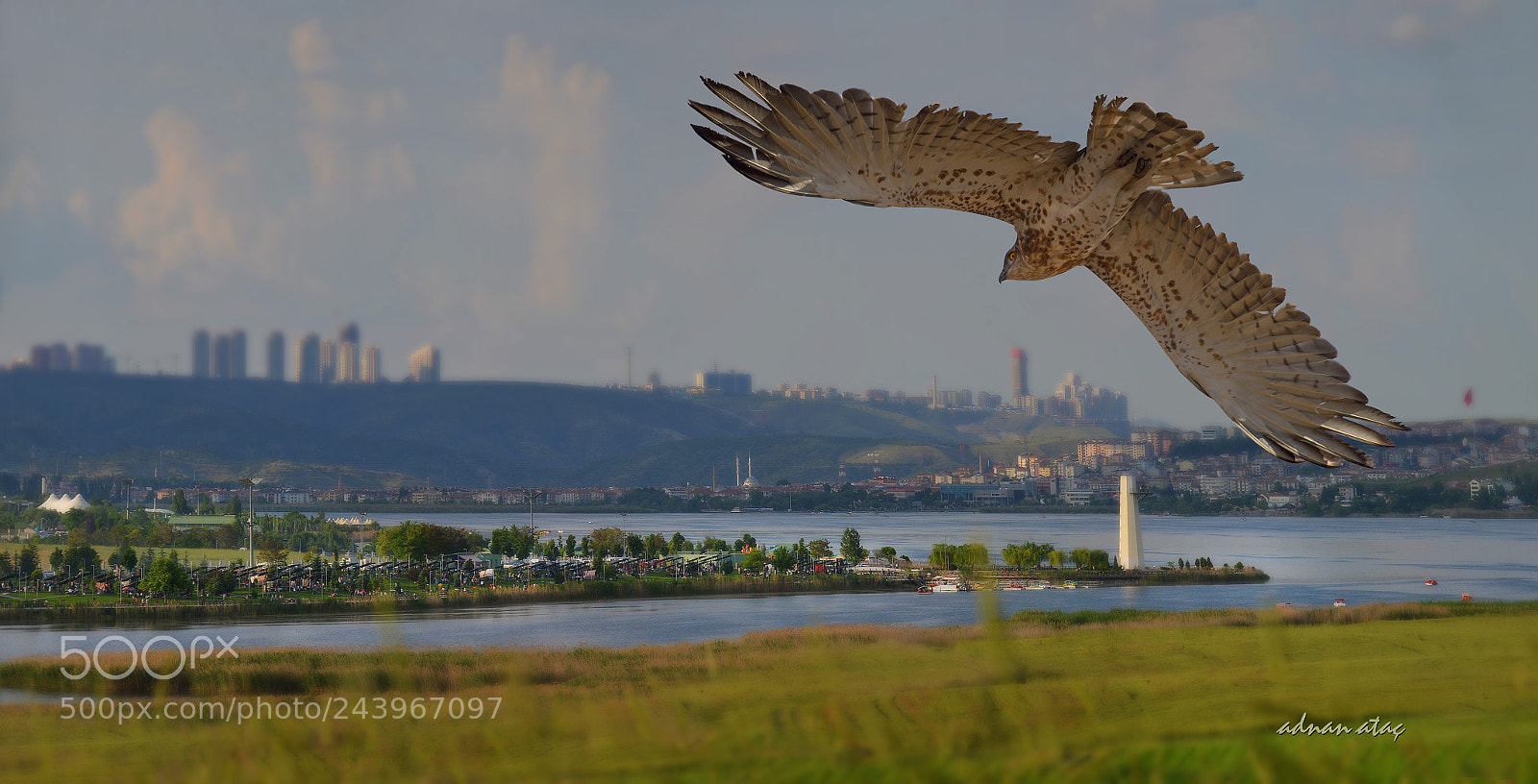 Nikon D4 sample photo. Y lan kartal photography