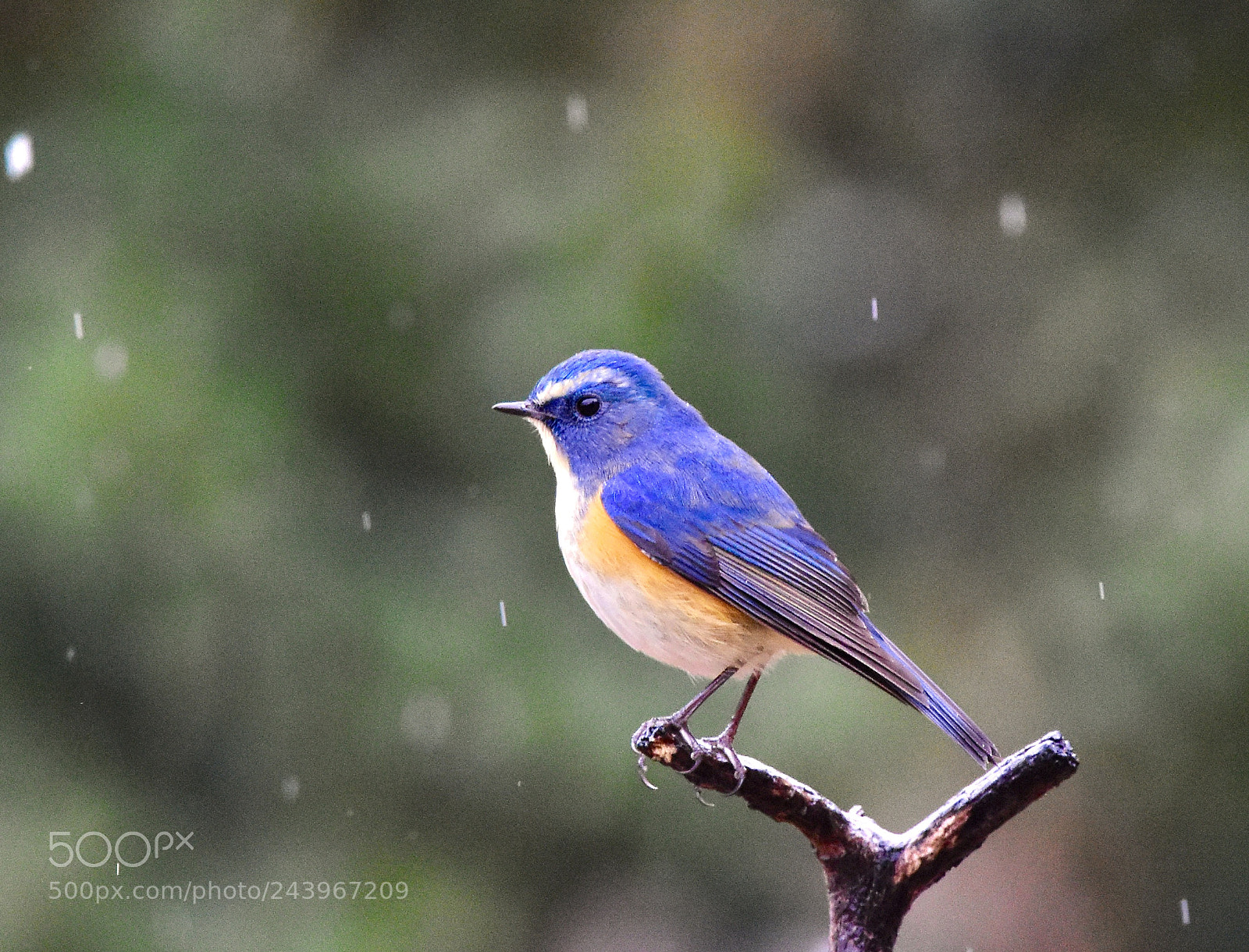 Nikon D7200 sample photo. Sleety afternoon 01 photography