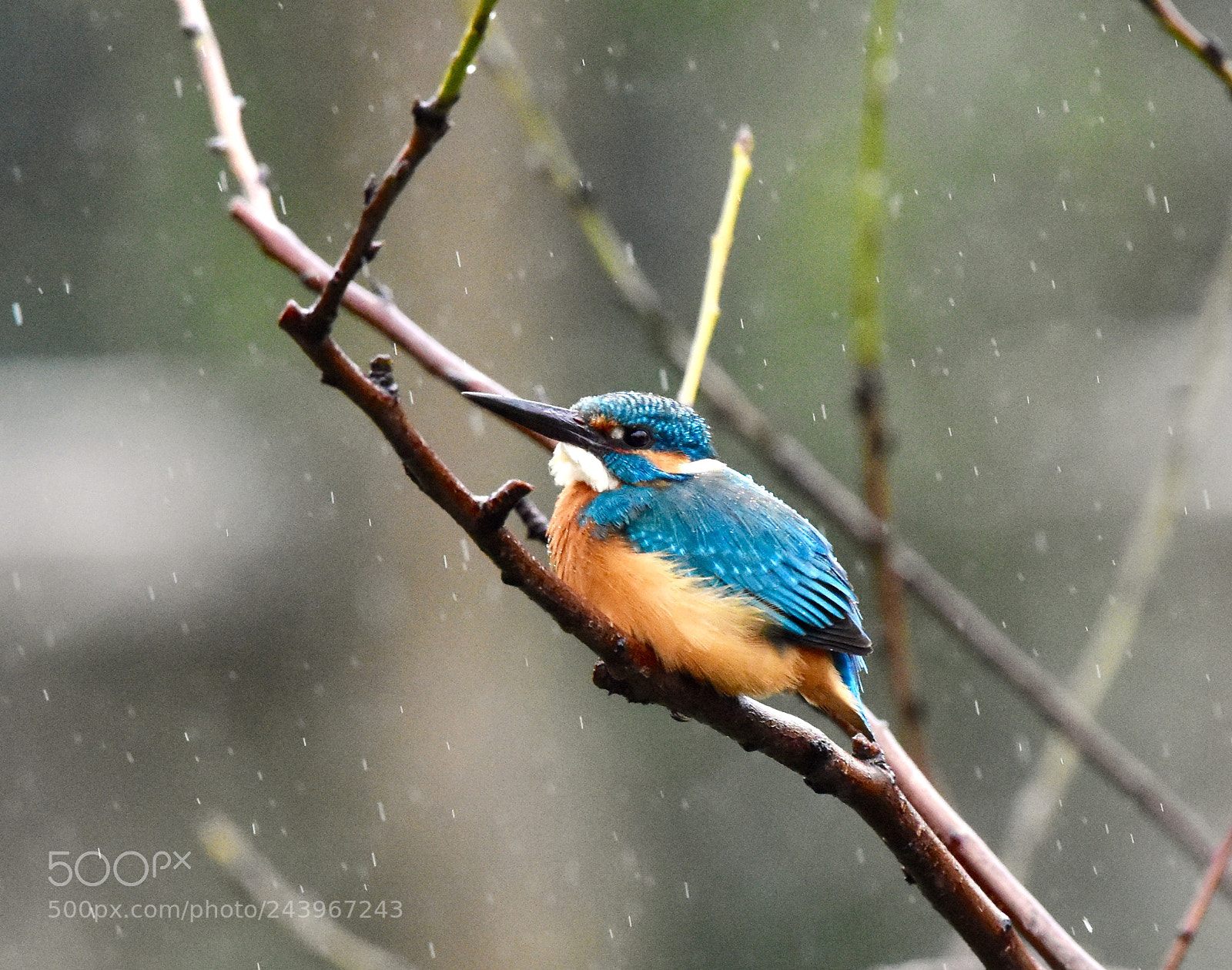 Nikon D7200 sample photo. Sleety afternoon 02 photography