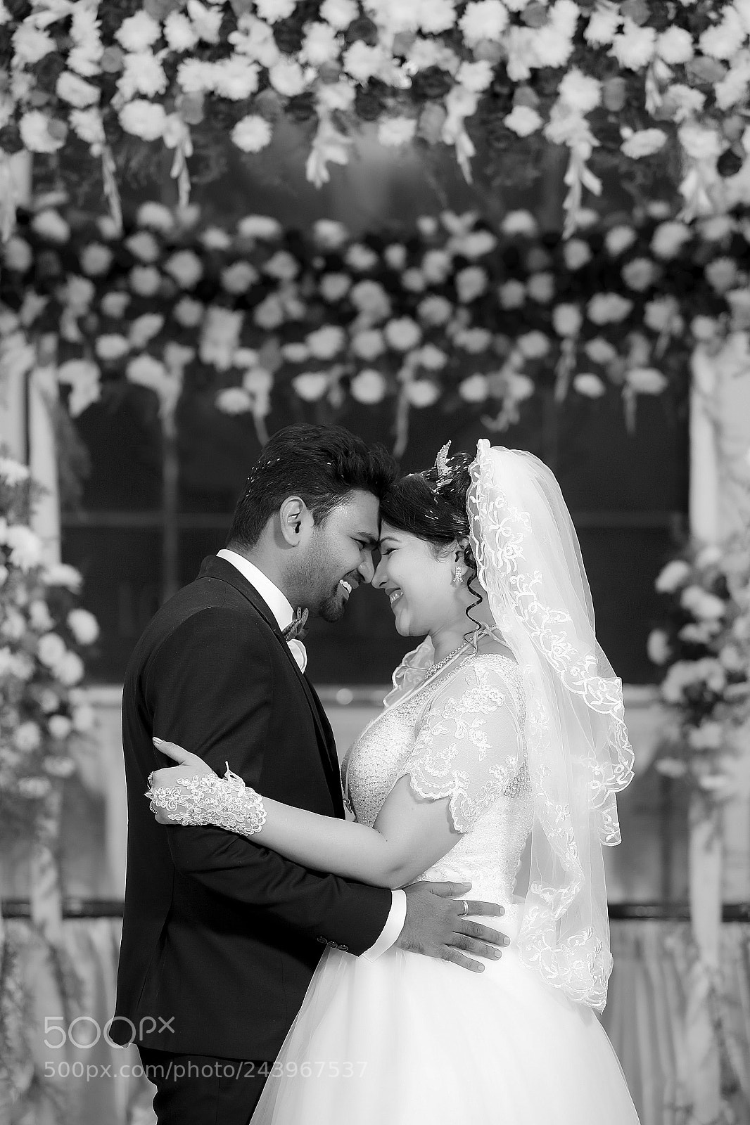 Canon EOS-1D X Mark II sample photo. 19.jpg photography