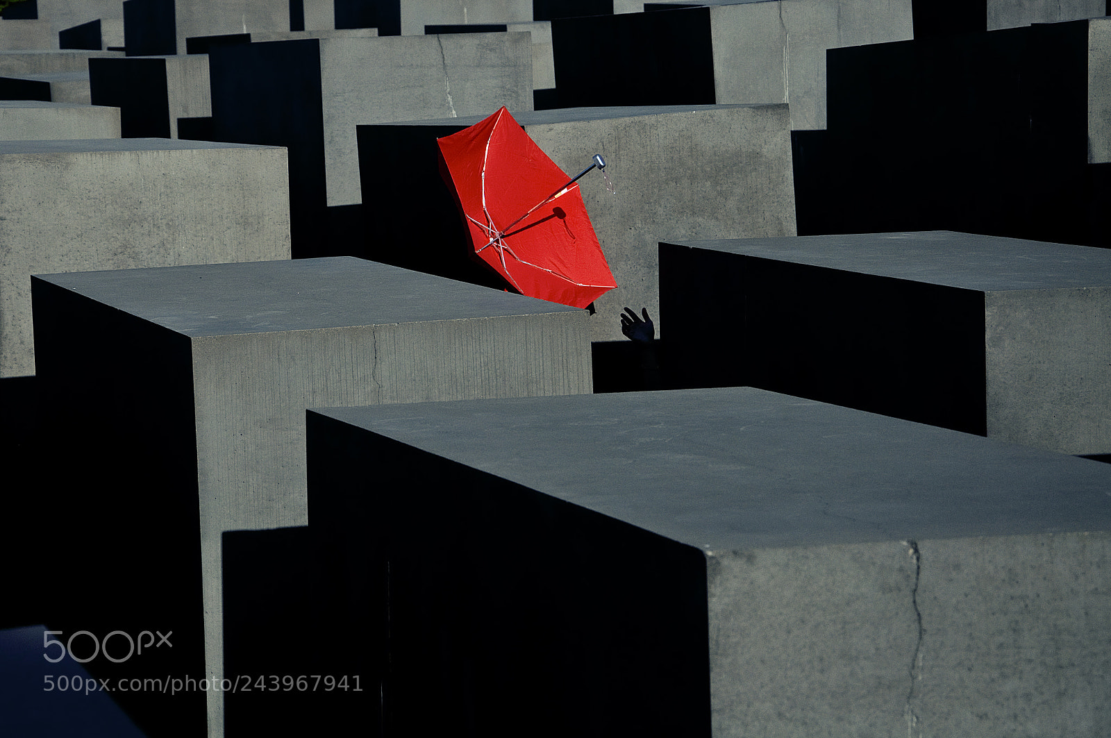 Nikon D90 sample photo. Chasing red photography