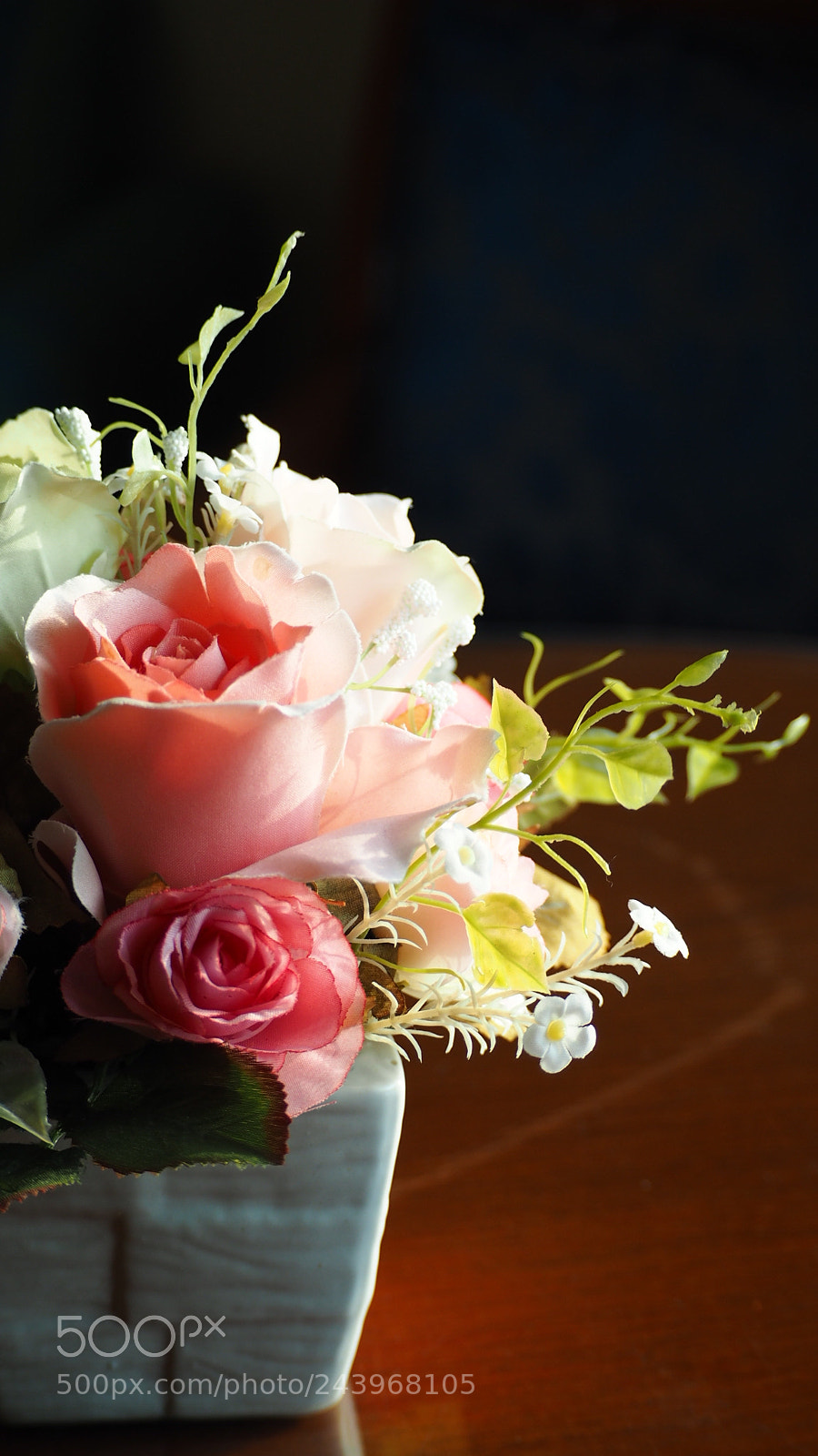Olympus PEN E-PL7 sample photo. Pink roses photography