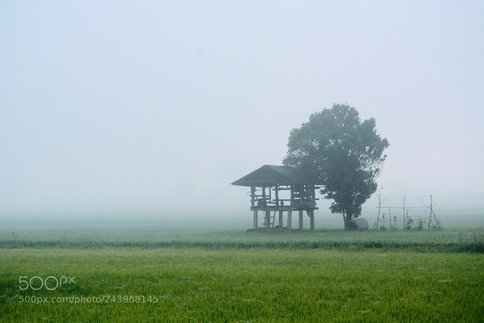 Nikon D7100 sample photo. ยามเช้า photography