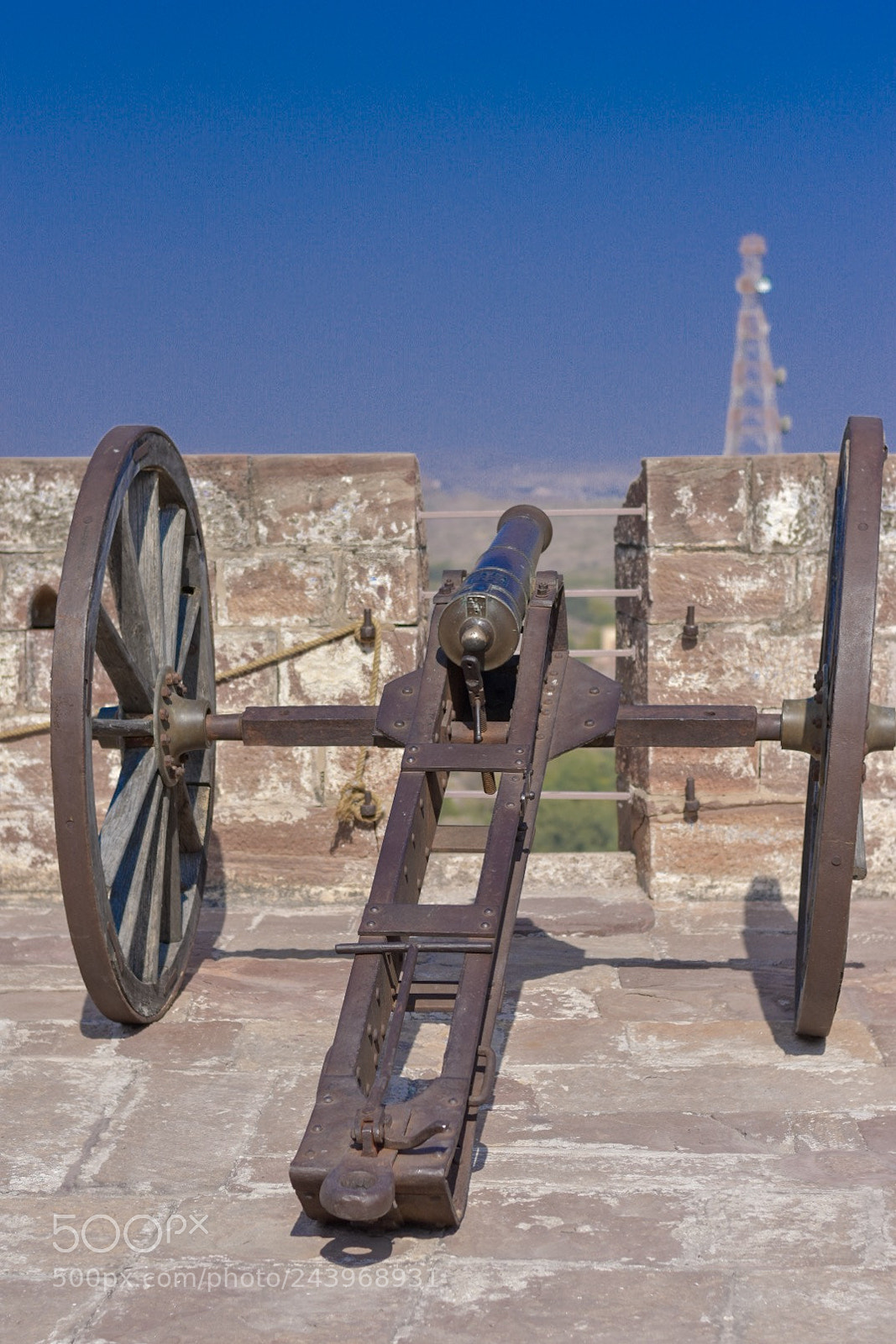 Nikon D3400 sample photo. Cannon @ jodhpur fort photography