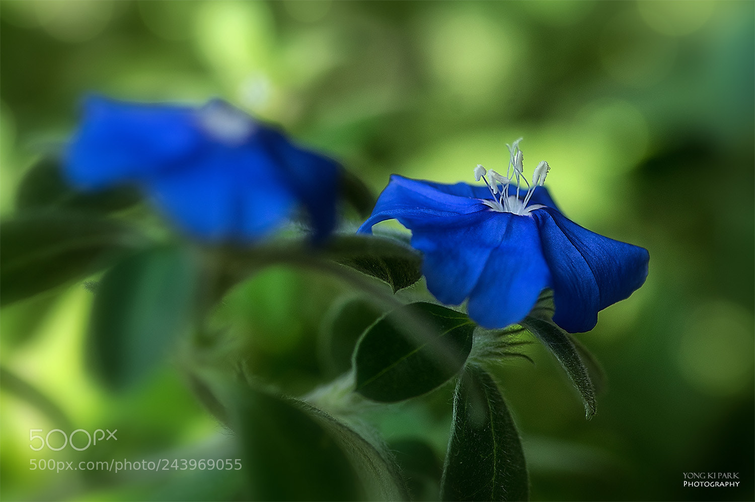 Pentax K-3 sample photo. The blue in winter-1 photography