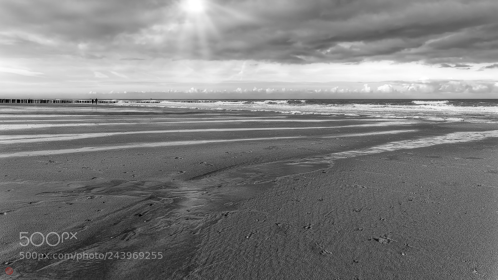 Olympus OM-D E-M1 Mark II sample photo. Bw beach photography