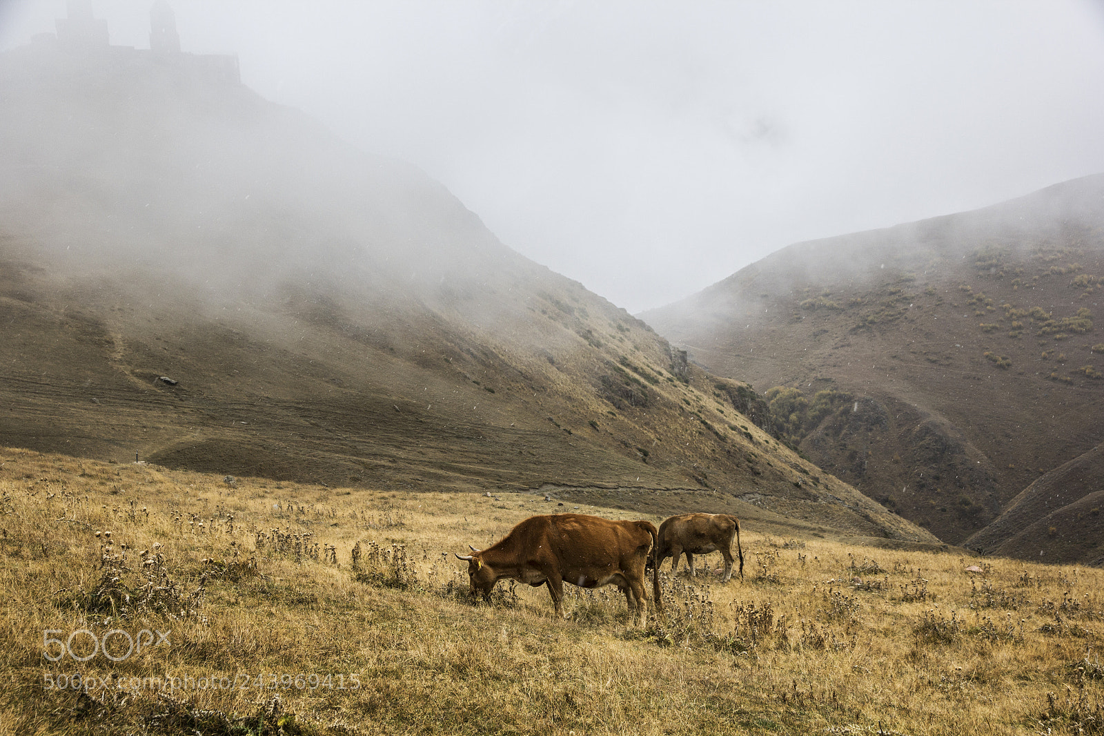 Canon EOS 60D sample photo. Georgian mountains photography