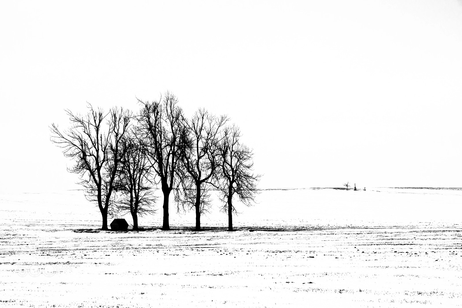 Sony ILCA-77M2 sample photo. The landscape in contrast photography