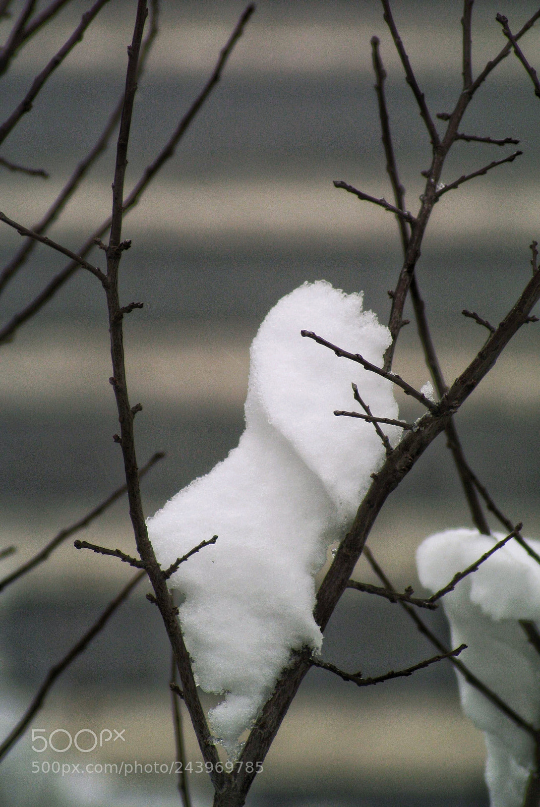 Nikon 1 V1 sample photo. Untitled photography