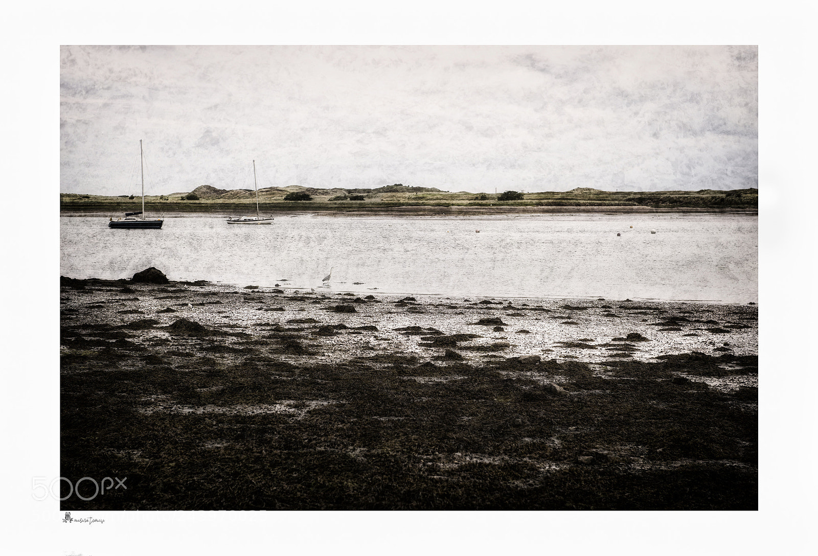 Nikon D810 sample photo. Irlanda photography