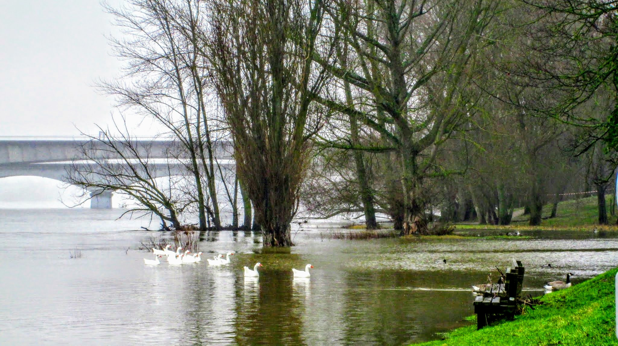 Canon PowerShot A1400 sample photo. Orleans la loire photography