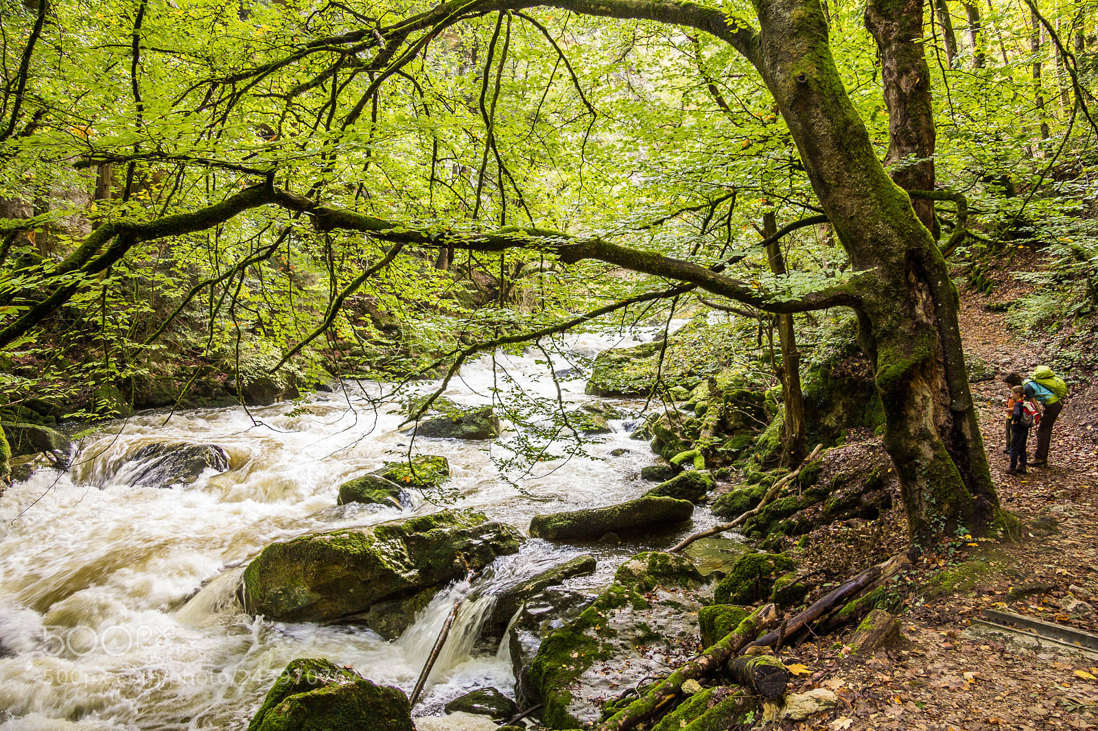 Canon EOS 60D sample photo. Gorges de l'areuse photography