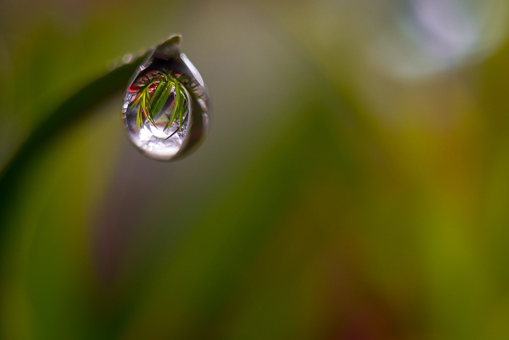 DEL REVÉS by Francisco Gómez on 500px.com