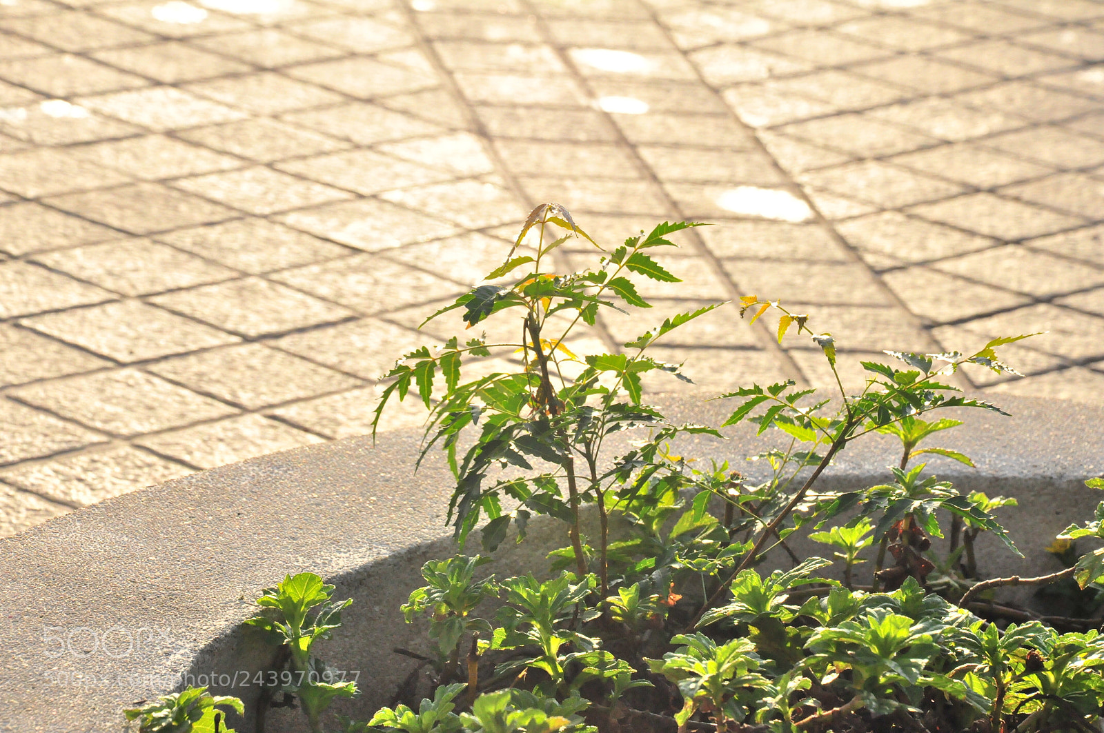 Nikon D90 sample photo. Resorts photography