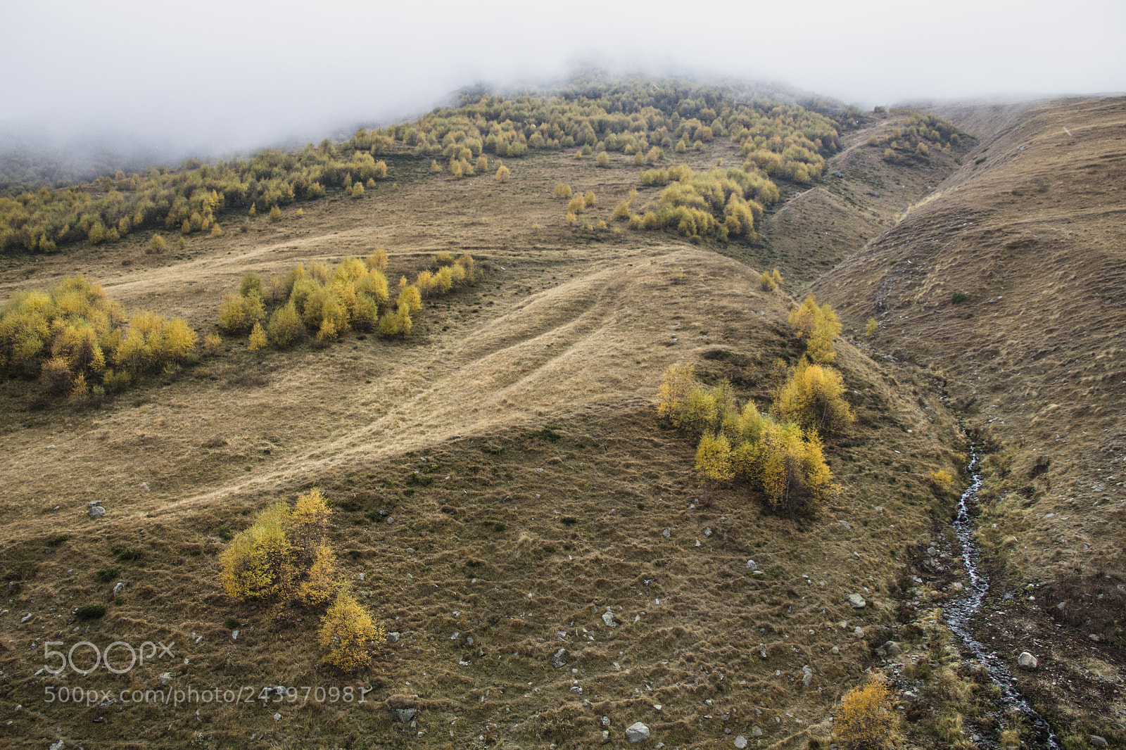 Canon EOS 60D sample photo. Autumn in the georgian photography