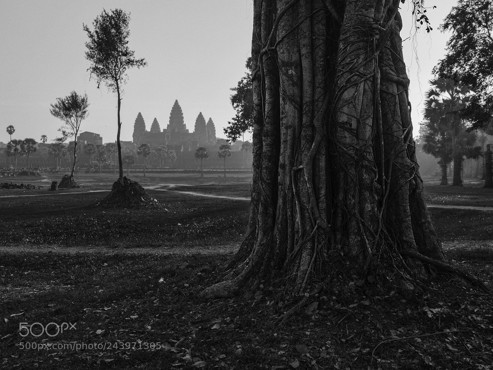 Sony a7R II sample photo. Angkor temple at dawn photography