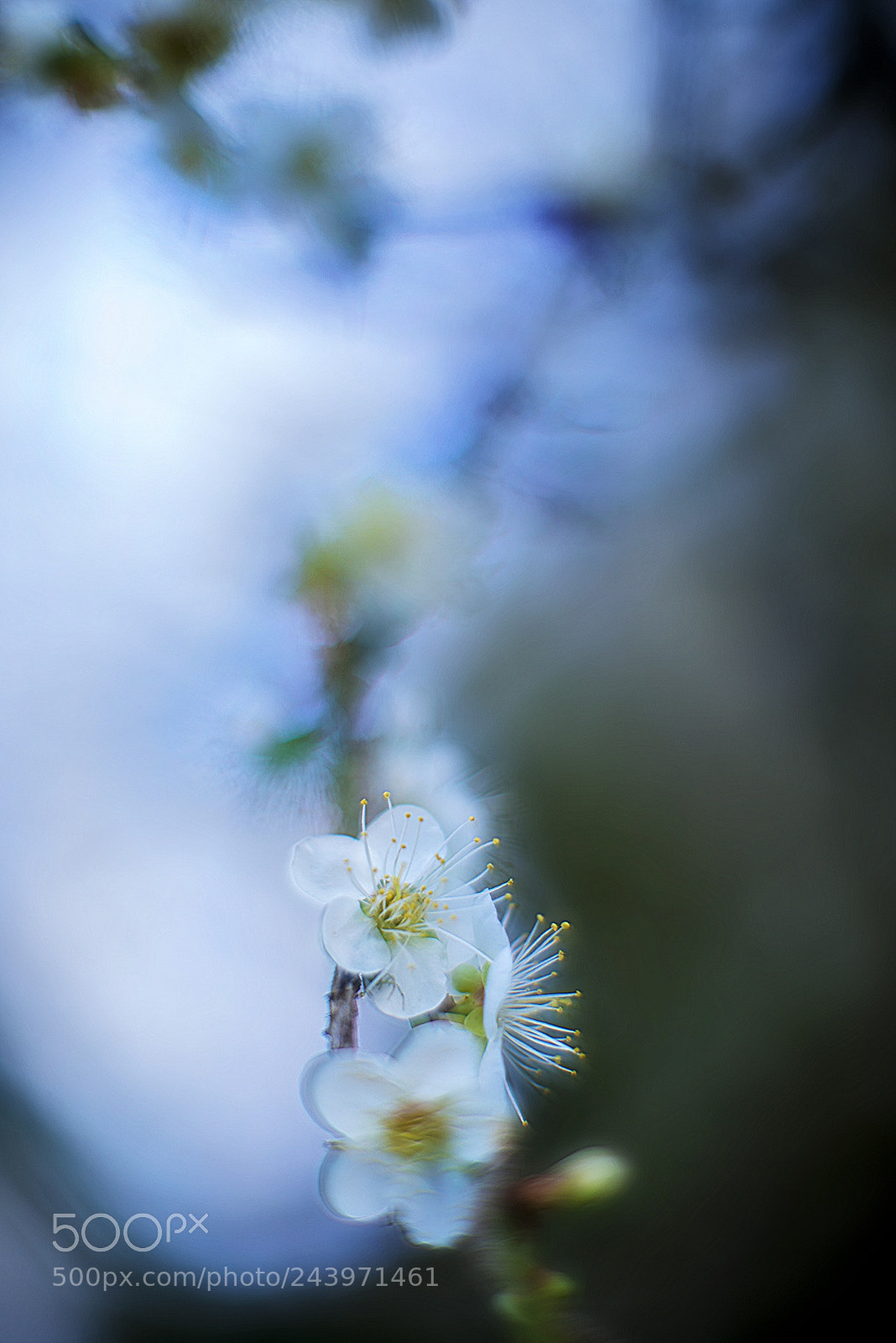 Nikon D800E sample photo. Untitled photography