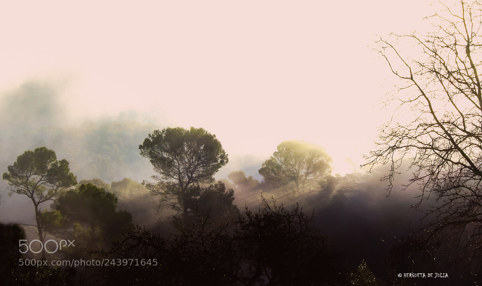 Sony Alpha DSLR-A380 sample photo. Amanece photography