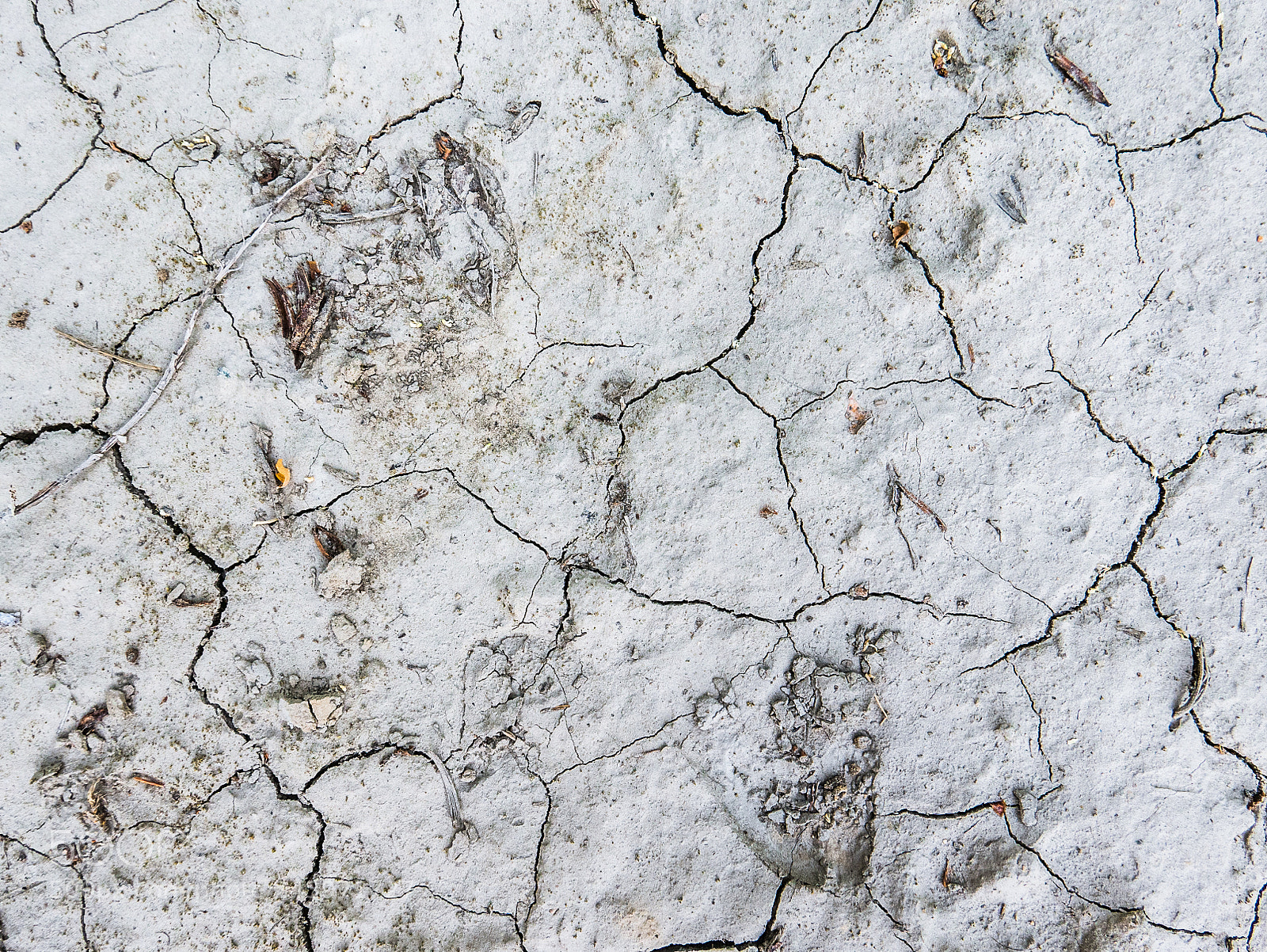 Panasonic Lumix DMC-LX100 sample photo. Dry cracked earth photography