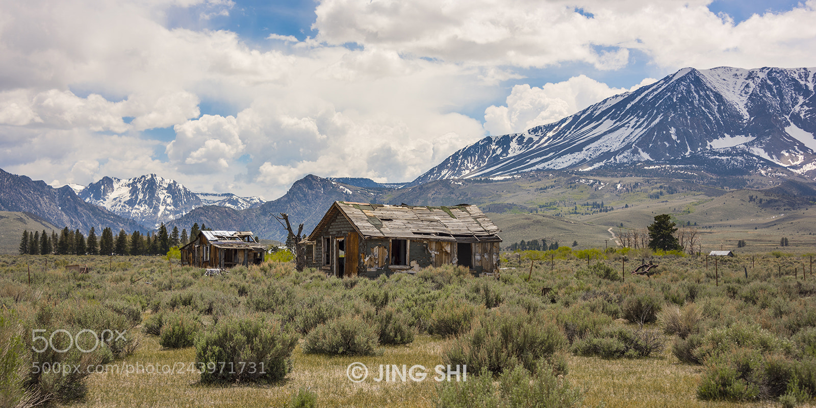 Nikon D810 sample photo. This old house photography