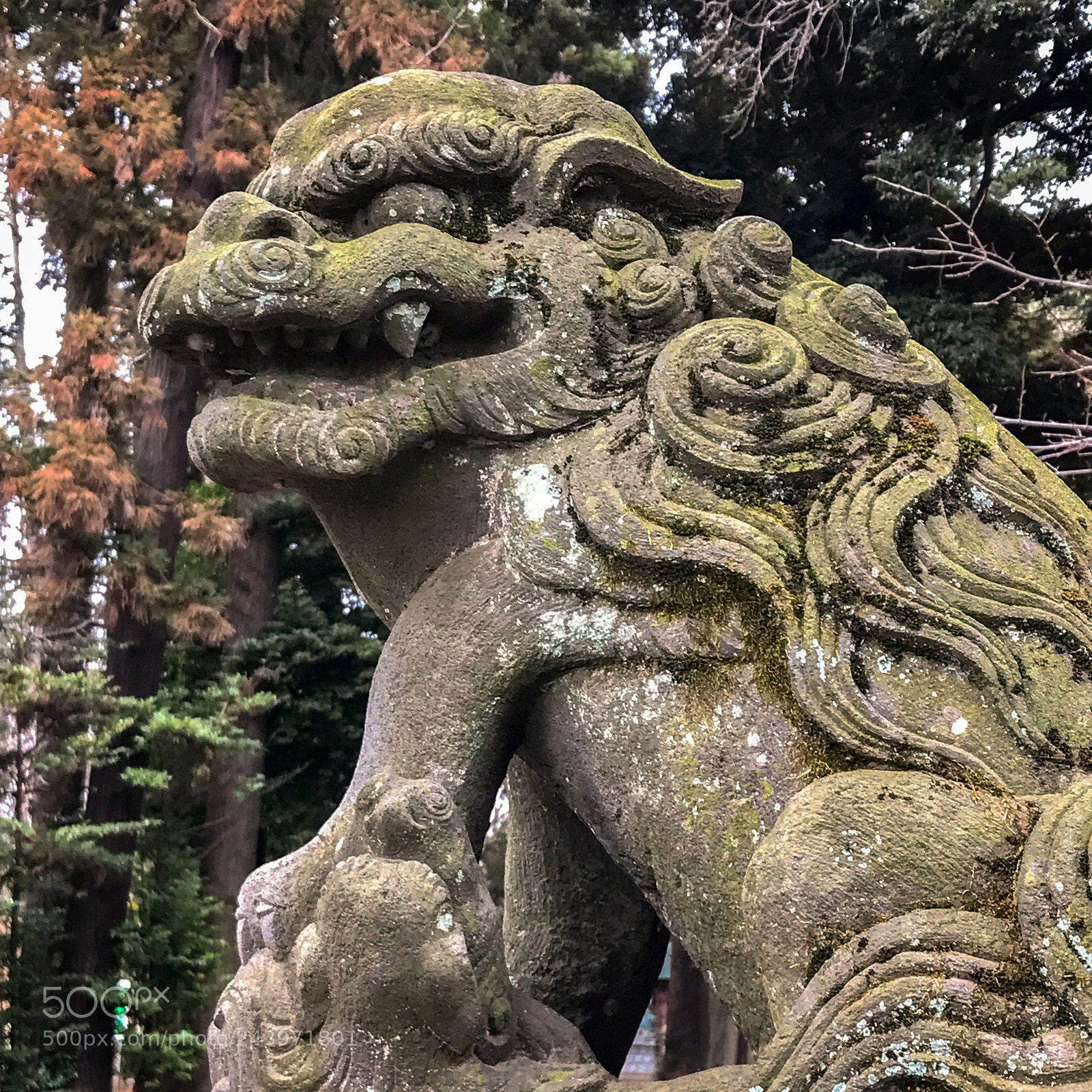 Apple iPhone 7 sample photo. 往昔を想う  #32 photography