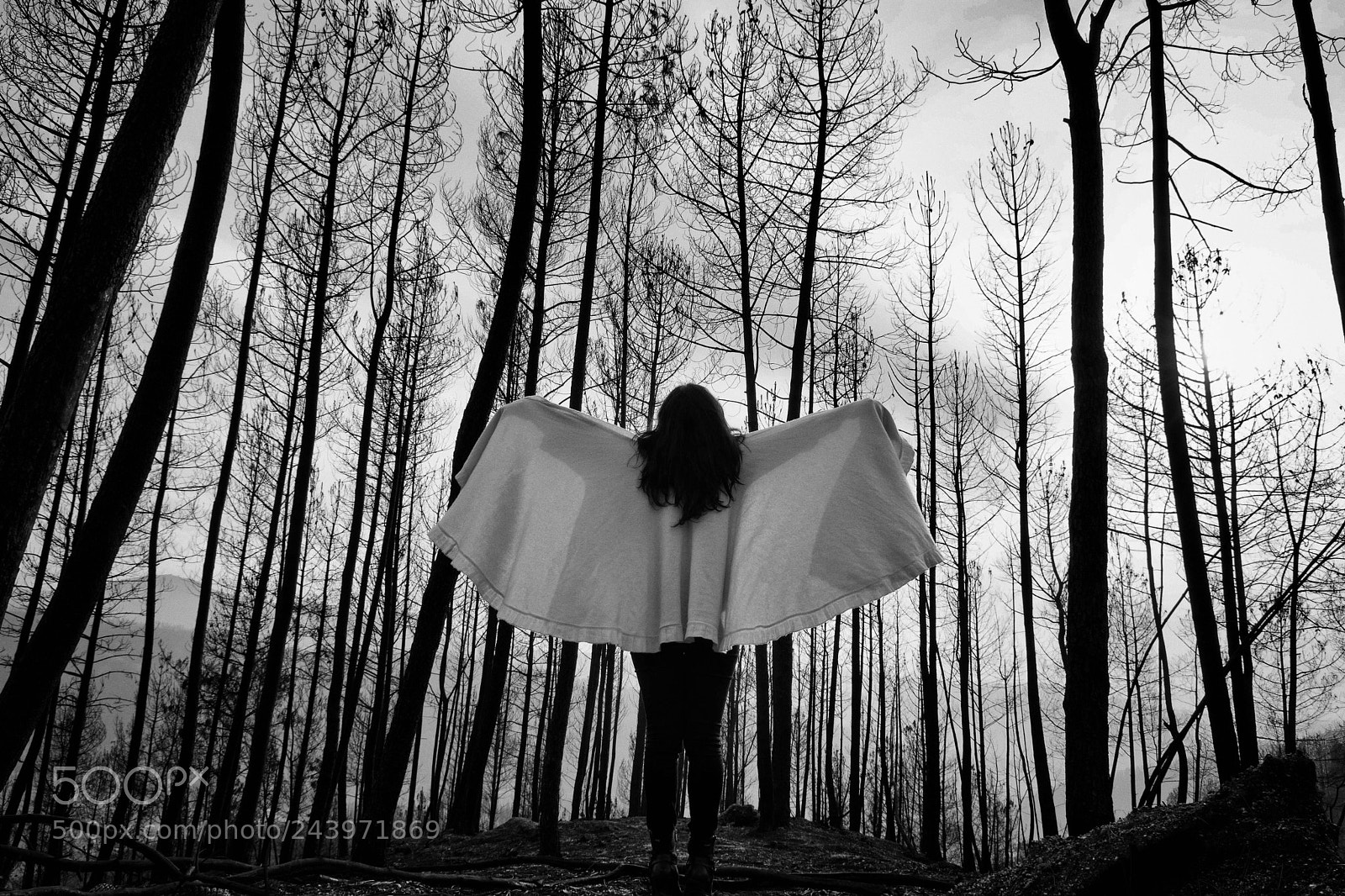 Nikon D7100 sample photo. Dark angel photography