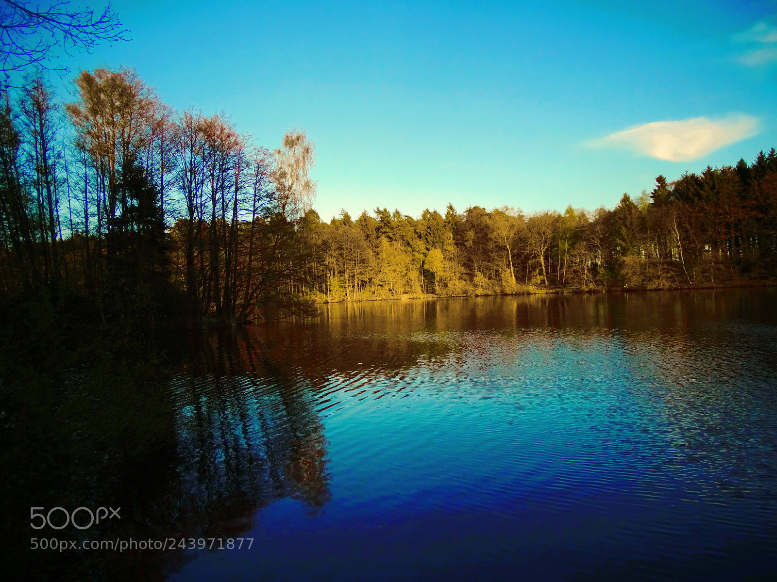 Sony Cyber-shot DSC-HX350 sample photo. See in der abendsonne photography