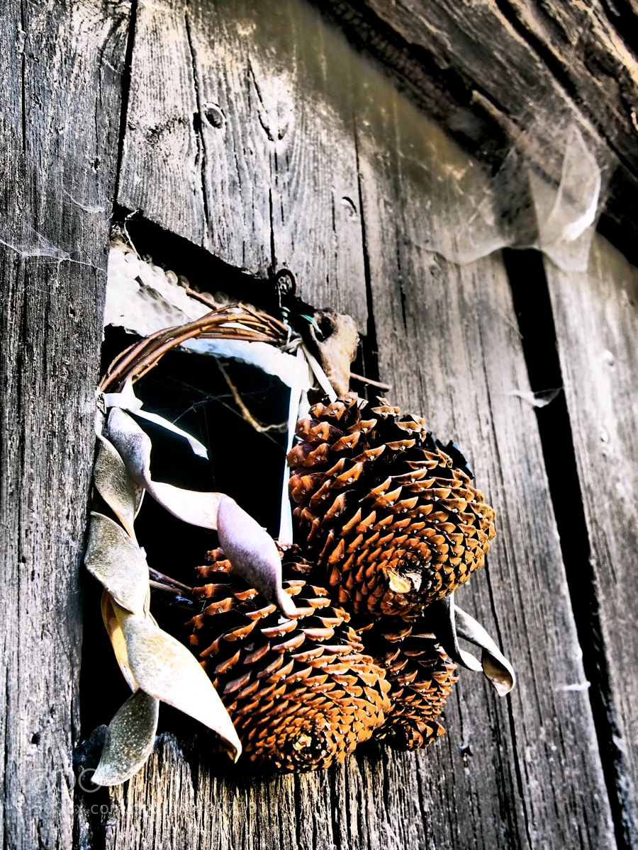 Olympus OM-D E-M5 sample photo. Grigri photography