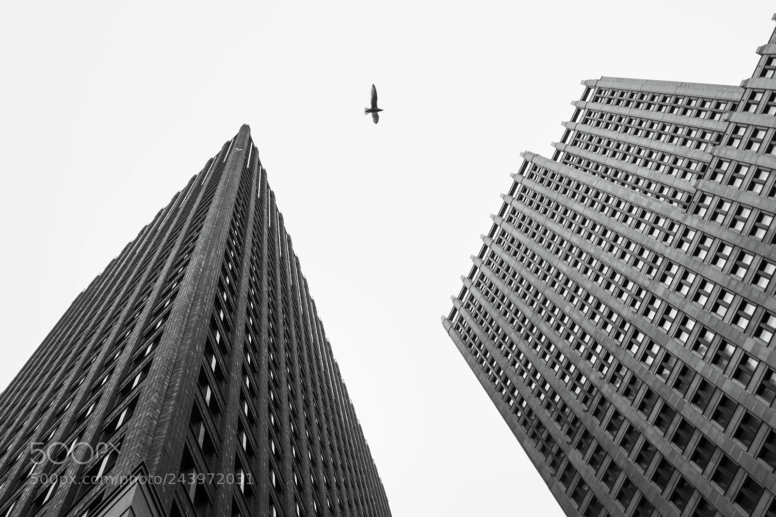 Nikon D7100 sample photo. Looking up photography