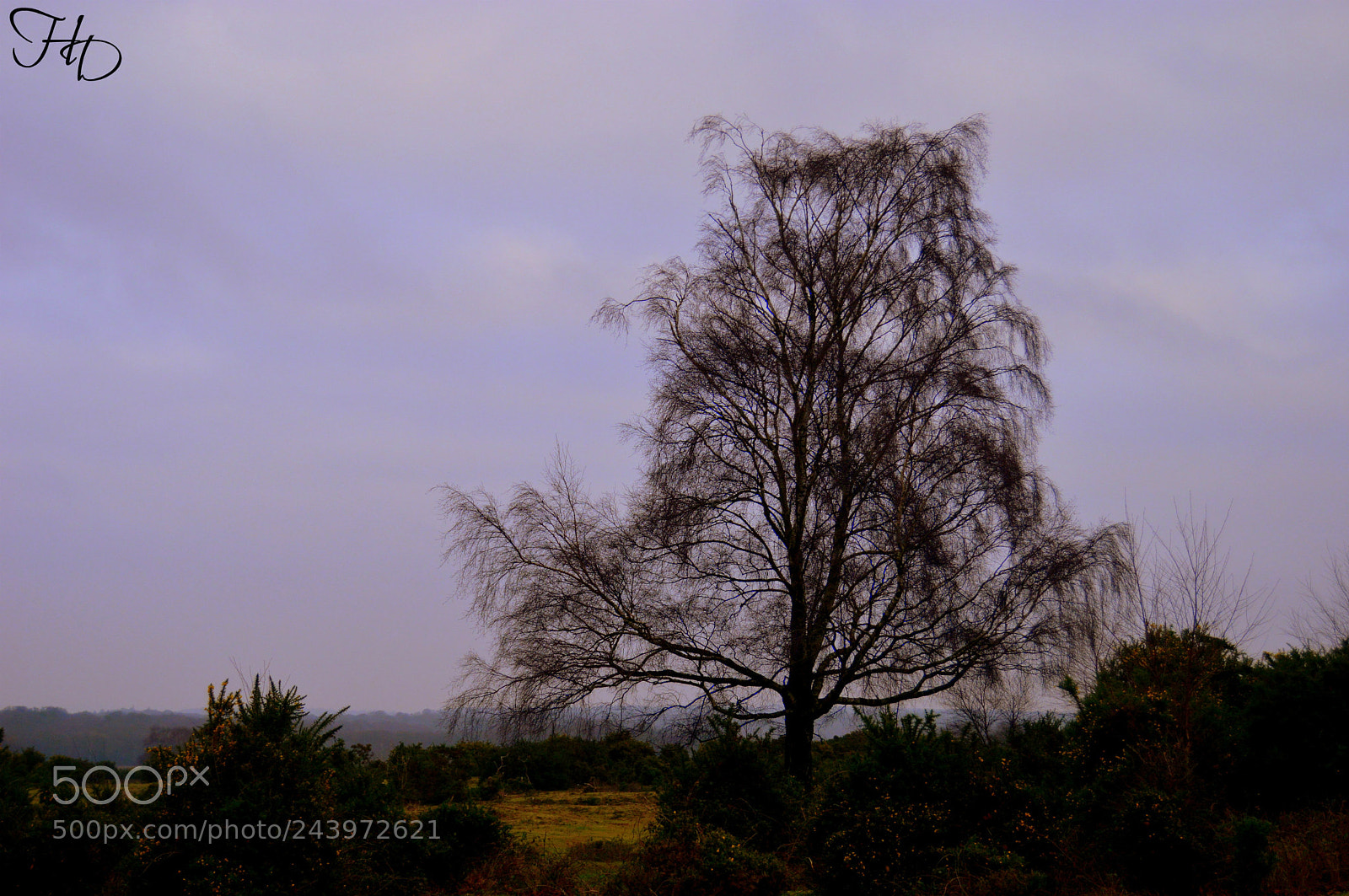 Nikon D3200 sample photo. Stand tall photography