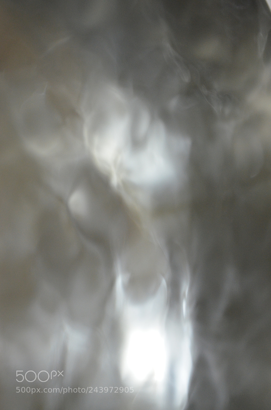 Nikon D5100 sample photo. Pneuma photography
