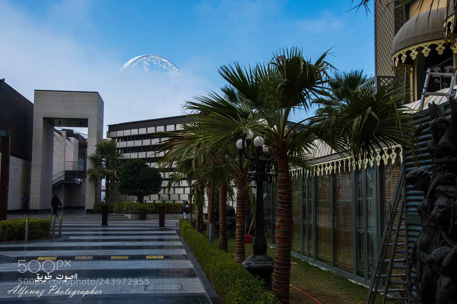 Nikon D3200 sample photo. Untitled photography