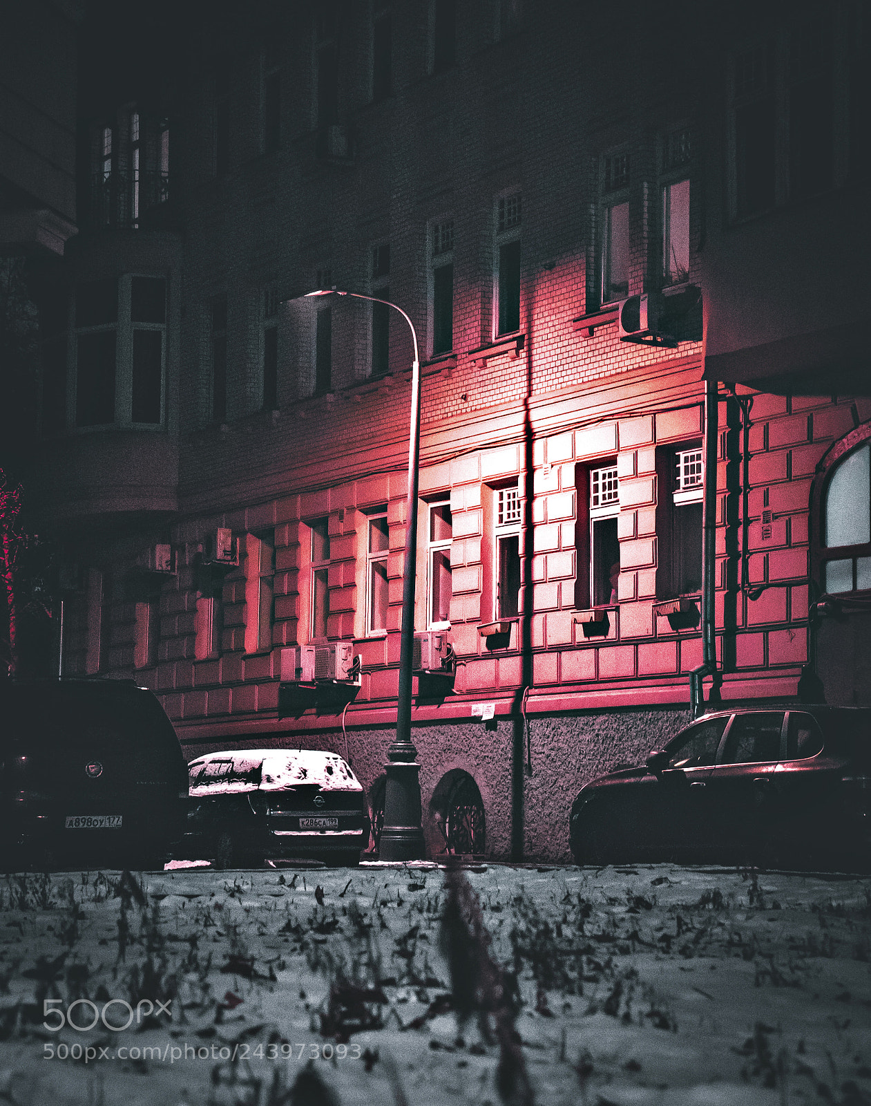 Sony a7 II sample photo. Red shine photography